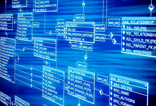 De mest populære programmene for administrasjon av databaser