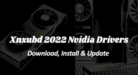 Www.XNXUBD 2022 Nvidia-drivrutiner: Ladda ner, installera och uppdatera