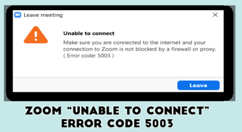 OPRAVENÉ: Priblíženie „Nedá sa pripojiť“ Kód chyby 5003 Windows 11
