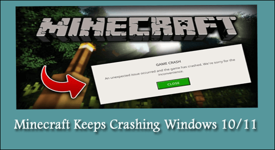 Hur fixar man Minecraft fortsätter att krascha Windows 10/11?  [UPPDATERAD GUIDE]