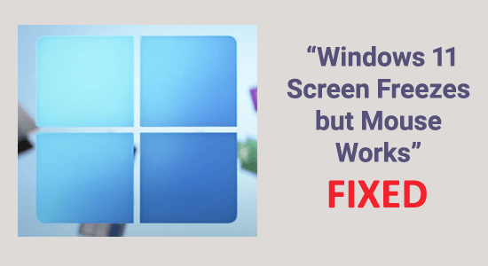 11 gyors trükk a „Windows 11 képernyő lefagy, de az egér működik” megoldásához