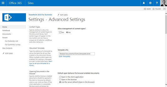 Bruke avanserte appinnstillinger i SharePoint 2016