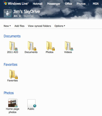 Εγγραφή και διαχείριση του SkyDrive στο Office 2011 για Mac