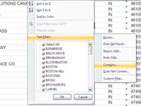 Mukautettujen automaattisten suodattimien luominen tekstille Excel 2007:ssä