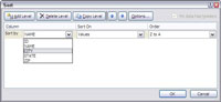 Ordenació de dades d'Excel 2007 en diverses columnes