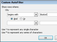 Com crear filtres automàtics personalitzats per a text a Excel 2010