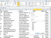 Tietueiden suodattaminen Excel 2010 -taulukossa automaattisella suodattimella