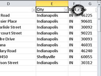 Com filtrar registres en una taula d'Excel 2010 amb AutoFilter