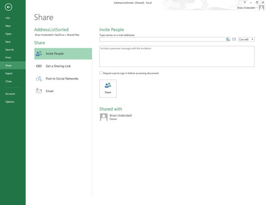 Del Excel 2013-projektmapper gemt på dit SkyDrive