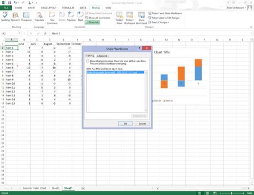 Hvordan dele Excel 2013-filer