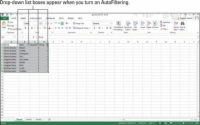 Jak používat automatický filtr v tabulce Excel