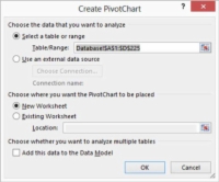 Kaip paleisti „PivotTable“ vedlį „Excel“.