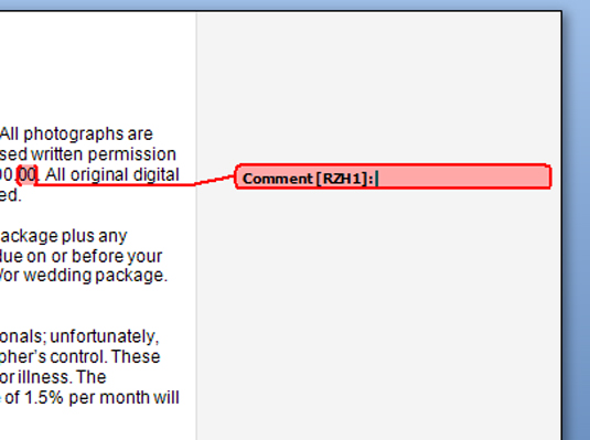 Kommentin lisääminen Word 2007 -asiakirjaan