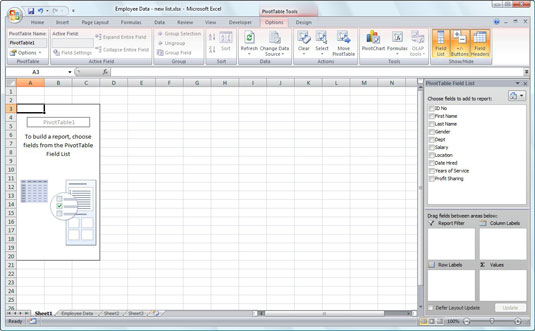 Lag en pivottabell i Excel 2007