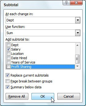 Indsættelse af subtotaler i et Excel 2007-regneark