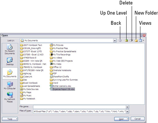 Åbning af en eksisterende projektmappe i Excel 2007