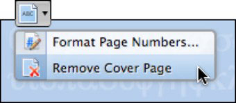 Office 2008 pro Mac: Odebírání položek galerie prvků z dokumentů