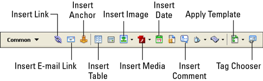 Susipažinkite su „Dreamweaver CS3 Common Insert Bar“.