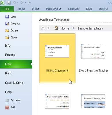 Veidņu izmantošana programmā Excel 2010