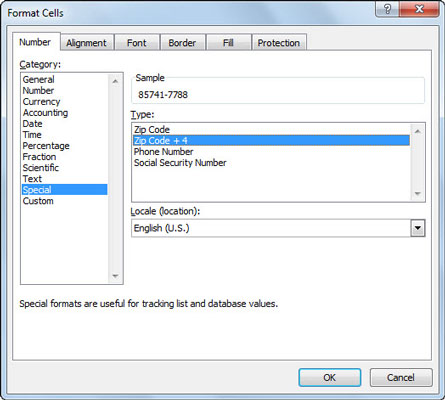 Kā lietot Excel 2010 īpašos skaitļu formātus