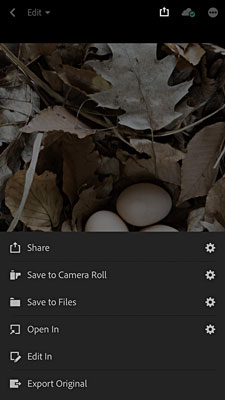 Organisera och redigera foton i Lightroom Mobile App