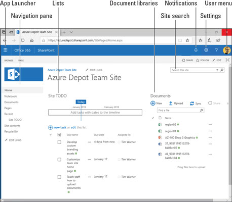 Jak spolupracovat na SharePointu z Office 365