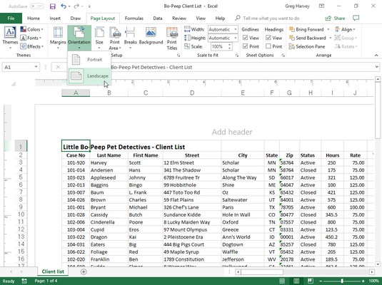 Com canviar la configuració de la pàgina a Excel 2019