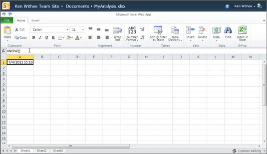 Excel Web App papildu līdzekļi