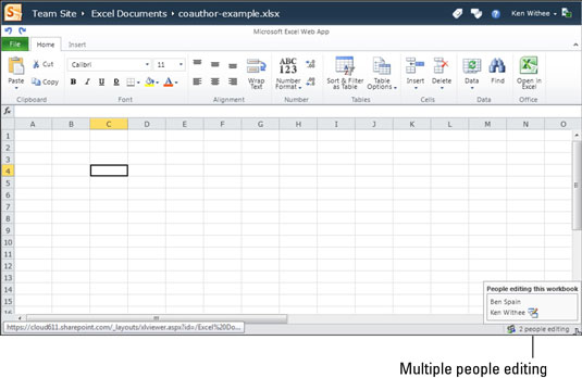 Avanserte funksjoner i Excel Web App