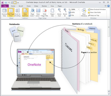 „OneNote Web App“ ir „OneNote 2010“ palyginimas