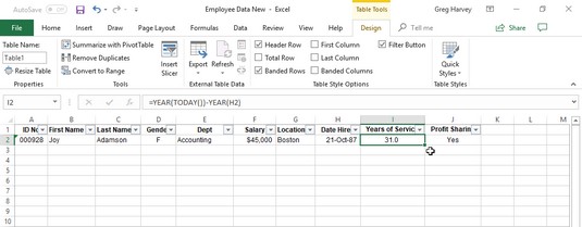 Hvordan legge til poster til datalister i Excel 2019