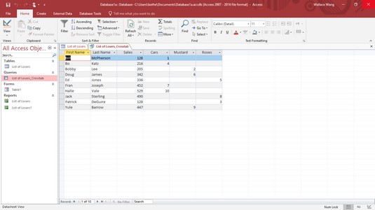 Sådan forespørges en MS Access 2019-database