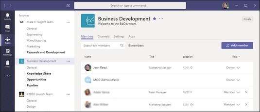 Sådan bruger du Microsoft Teams