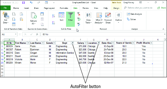 Automaattisen suodattimen käyttäminen Excel 2019:ssä