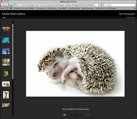 Hur man skapar ett webbgalleri med dina Photoshop CS6-bilder