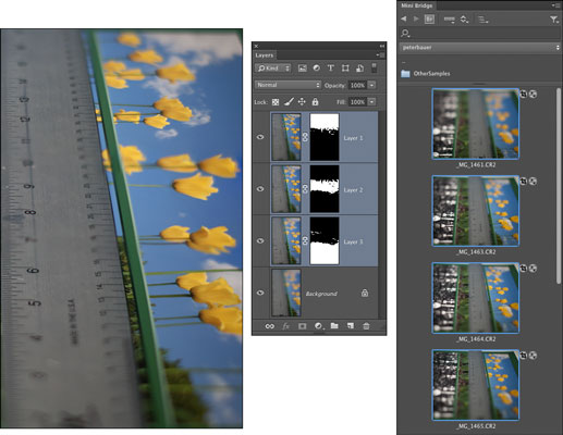 Sådan arbejder du med Adobe Bridge og Adobe Stock