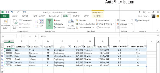 Funkce automatického filtru aplikace Excel 2013