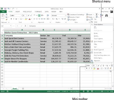 Formater celleområder med miniværktøjslinjen i Excel 2013