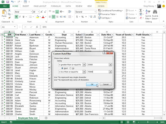 Slik bruker du tilpassede filtre i Excel 2013