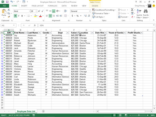 Com utilitzar filtres personalitzats a Excel 2013