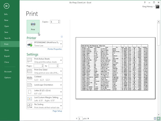 Kaip spausdinti programoje Excel 2013