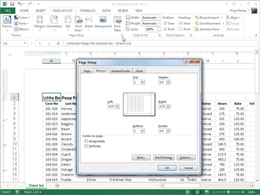 Kā pielāgot piemales programmā Excel 2013