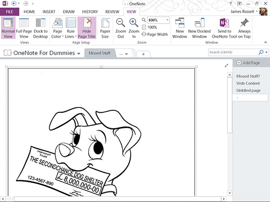 Përdorimi i OneNote 2013 për të ngjyrosur