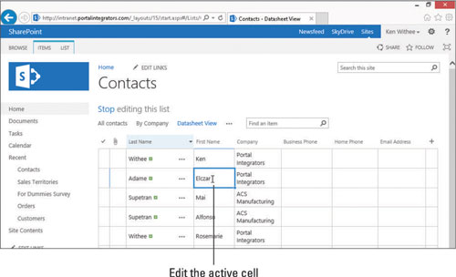 Sådan administreres SharePoint-appdata i en dataarkvisning