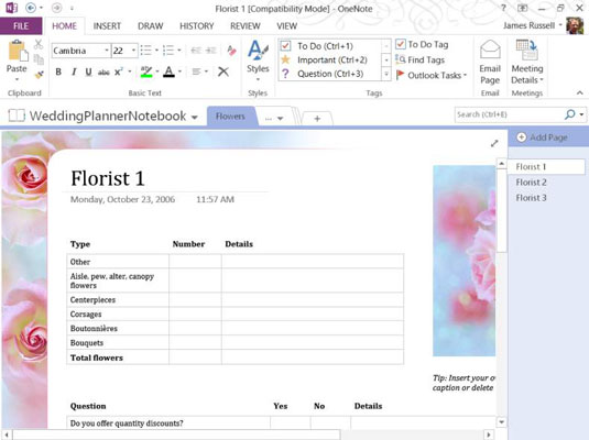 10 resursi un pievienojumprogrammas programmai OneNote 2013