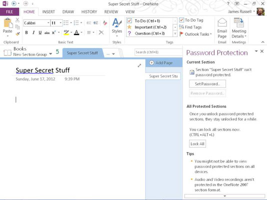 Slik passordbeskytter du deler i OneNote 2013