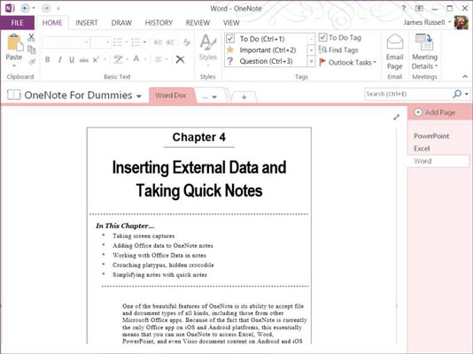 Sådan indsætter du data fra Office-apps i OneNote 2013