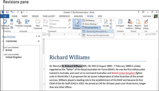 Com personalitzar la visualització de marques de Word 2013