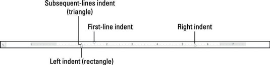 Pastraipos įtraukimo pagrindai programoje Word 2013