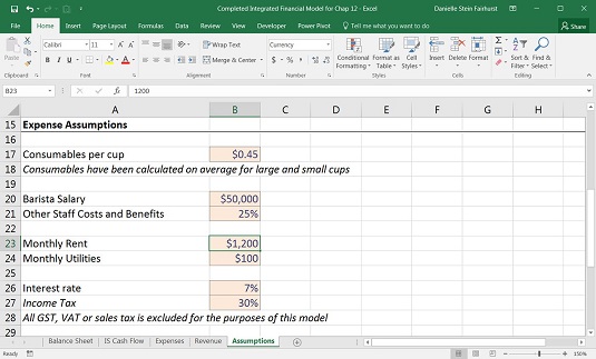 Prielaidų įvedimas į savo finansinį modelį